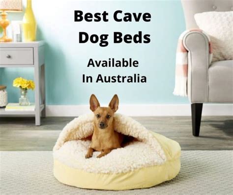 best dog bed australia 2022